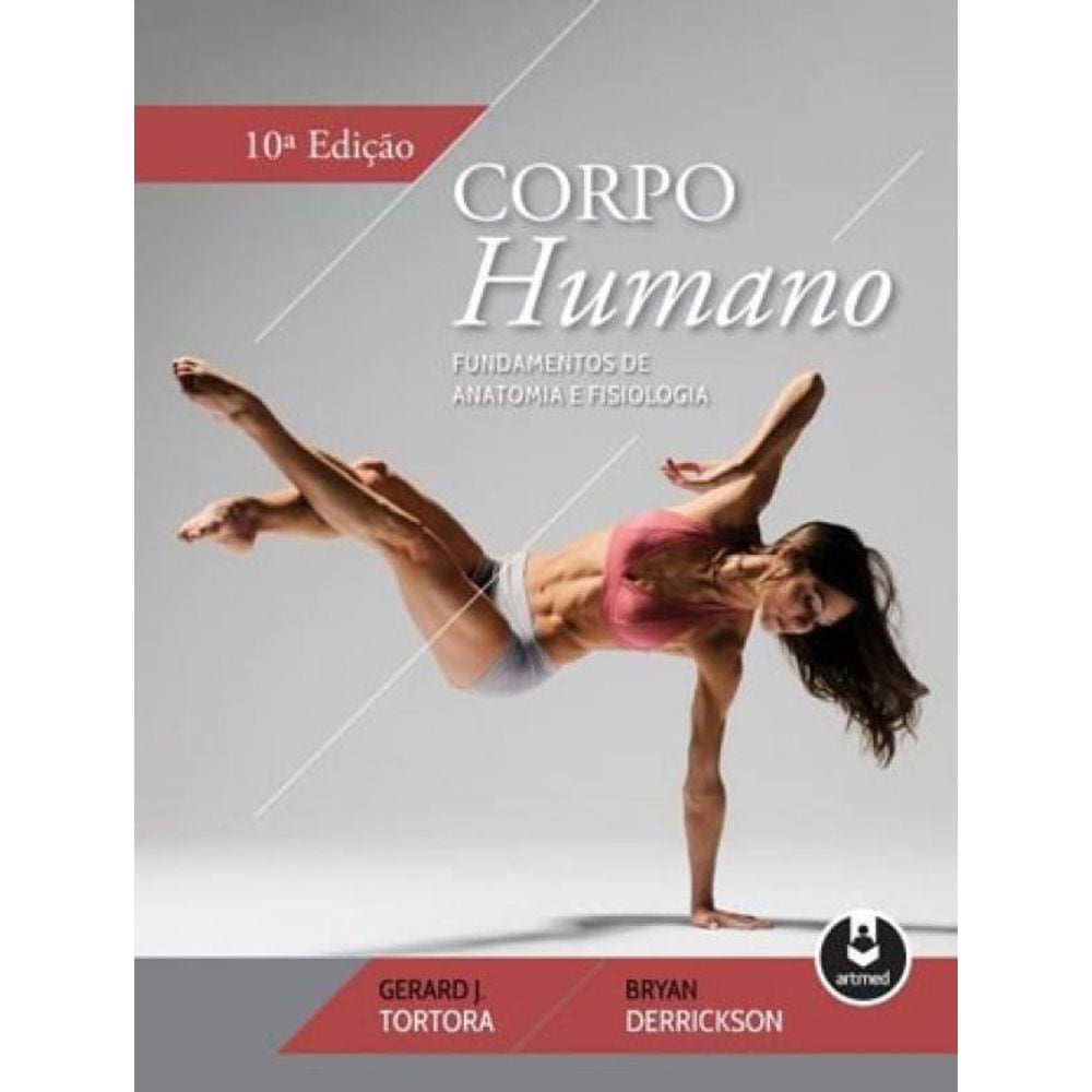 Papel Parede Corpo Humano Pontofrio