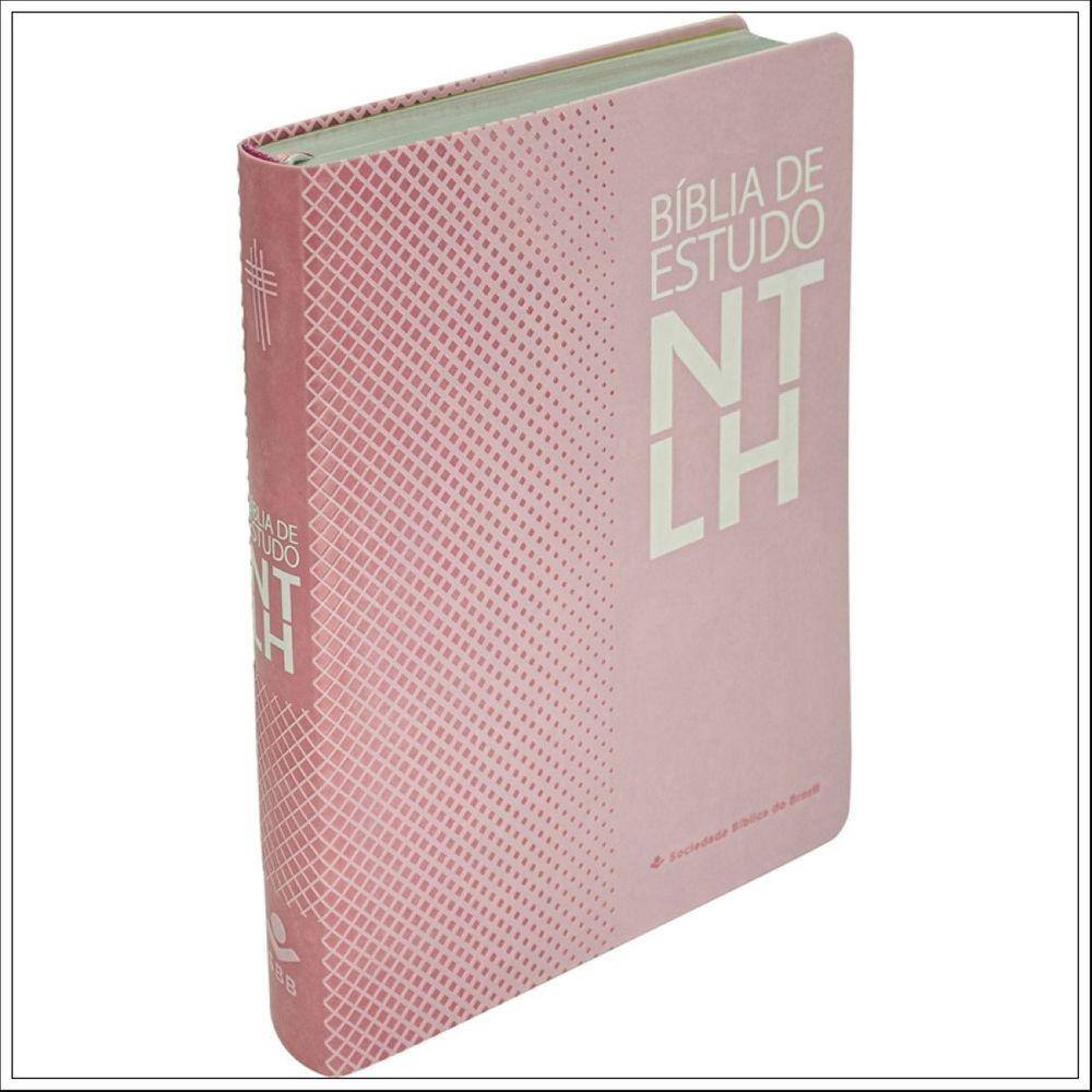 Biblia Da Mulher Leitura Devocional Estudo Ara Capa Rosa Pontofrio