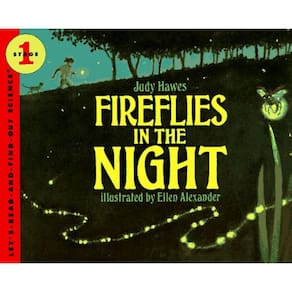 Fireflies In The Night