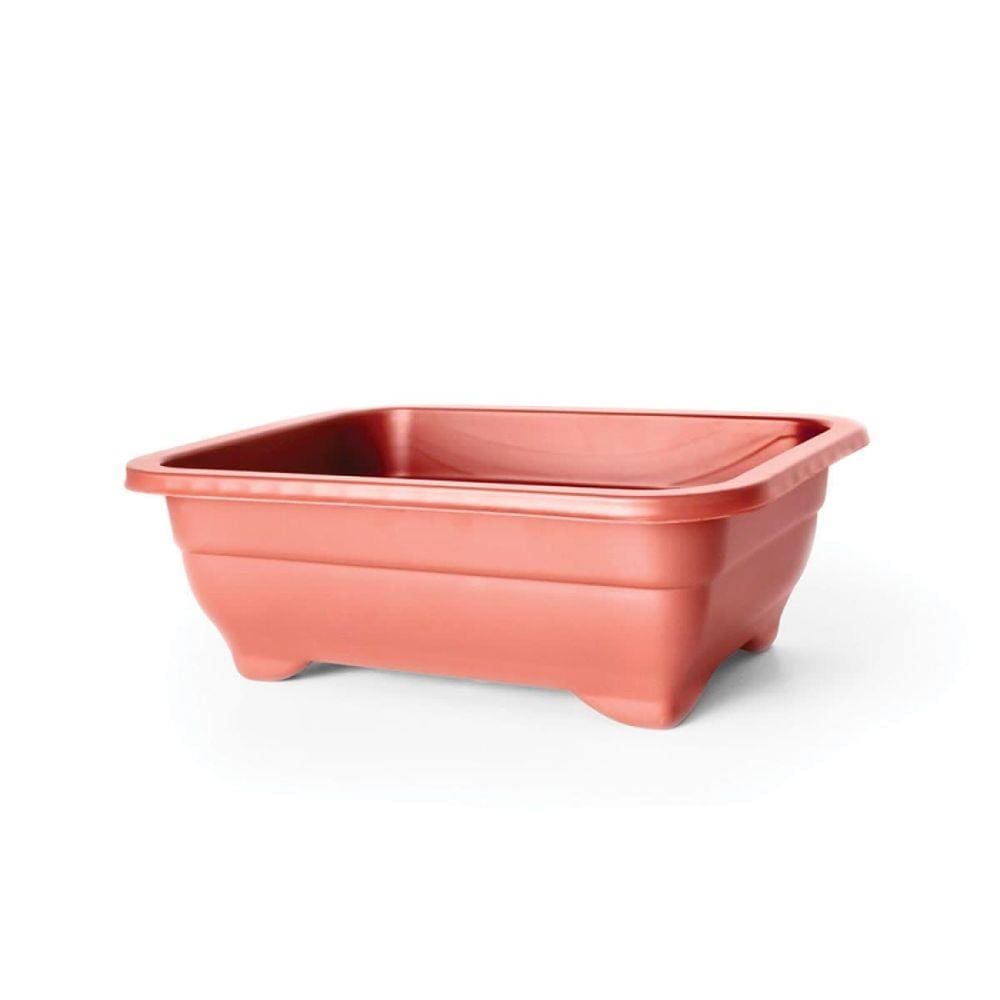 Vaso para Cultivo de Bonsai Mini Nutriplan