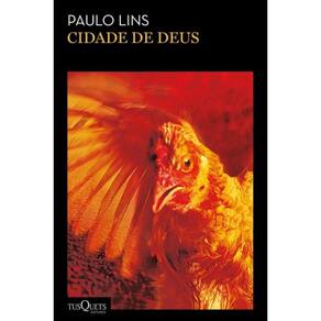 Livro - Cidade De Deus