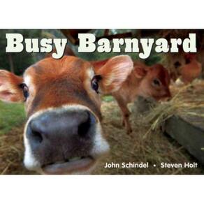 Livro - Busy Barnyard