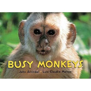Livro - Busy Monkeys