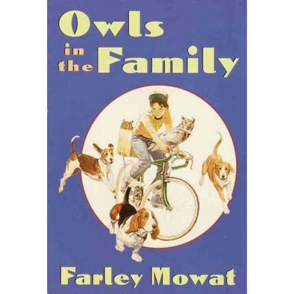Livro - Owls In The Family