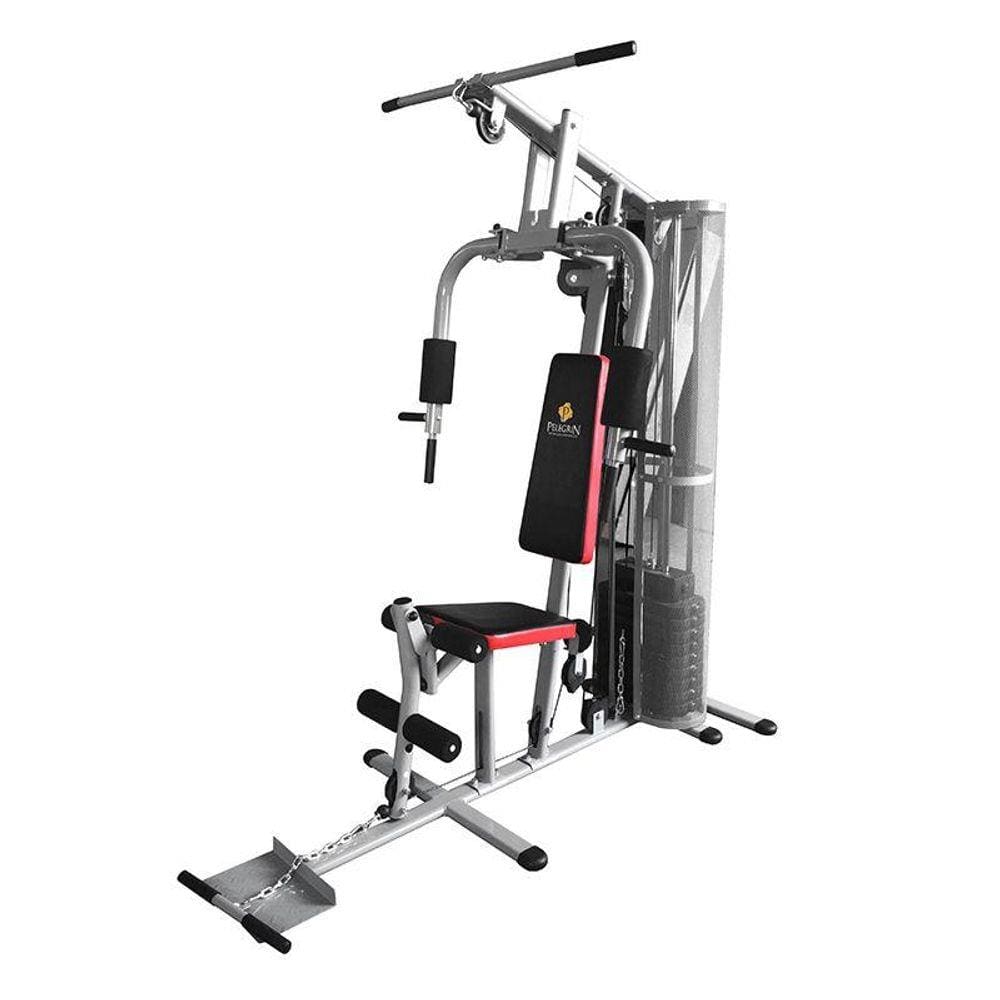 Estação de Musculação - Multifuncional Pelegrin PEL-50KG 8 em 1