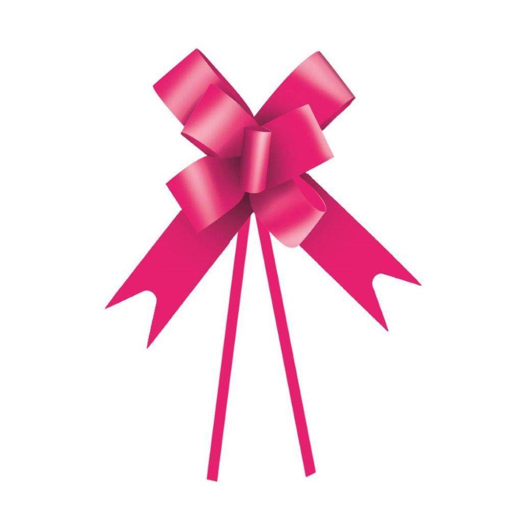 10 Laços Gravata Embalagem Presente Fita 12Mm Lis. Pink