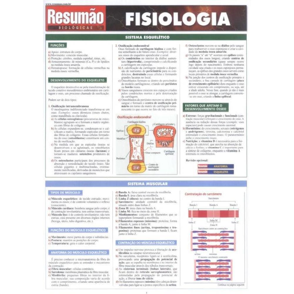 Fisiologia