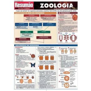 Resumao Zoologia