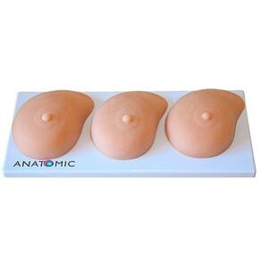 Auto Exame de Mama Prancha Modelo Simulador Médico
