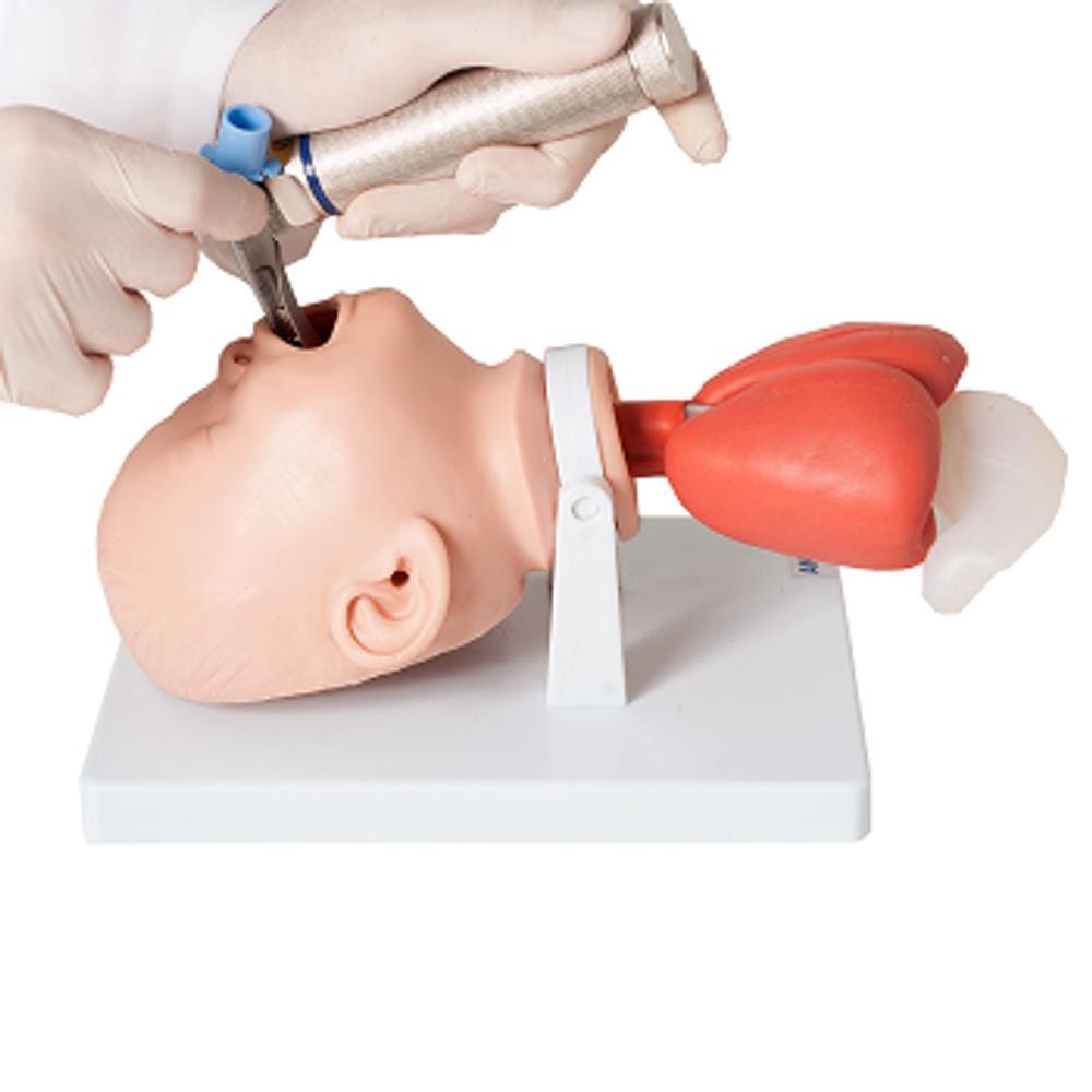 Cabeça de Bebê Intubação Avançado Simulador Médico
