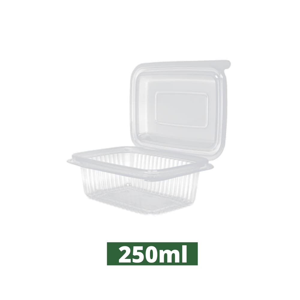 Pote Retangular - C/ Tampa Articulada 250ml c/ 24un Rioplastic