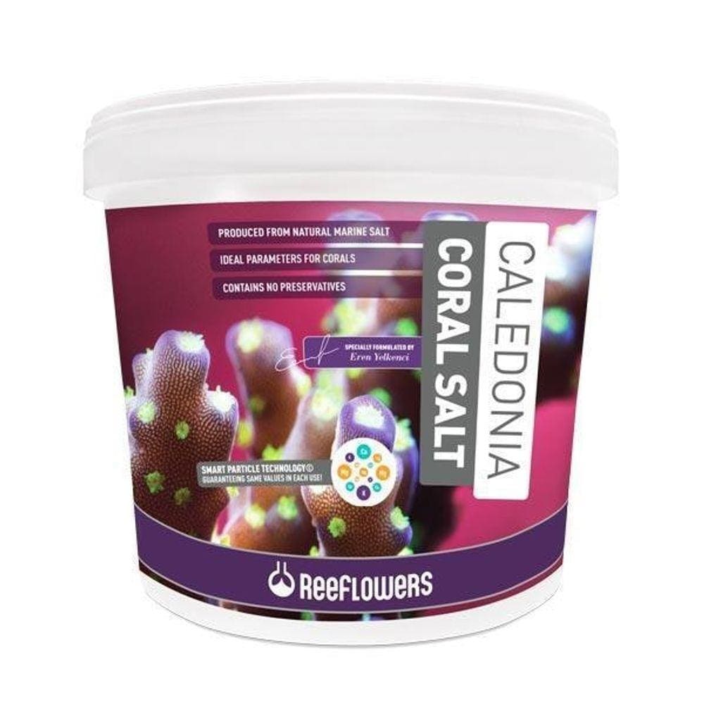 Sal Reeflowers Caledonia Coral Salt 22,5 Kg