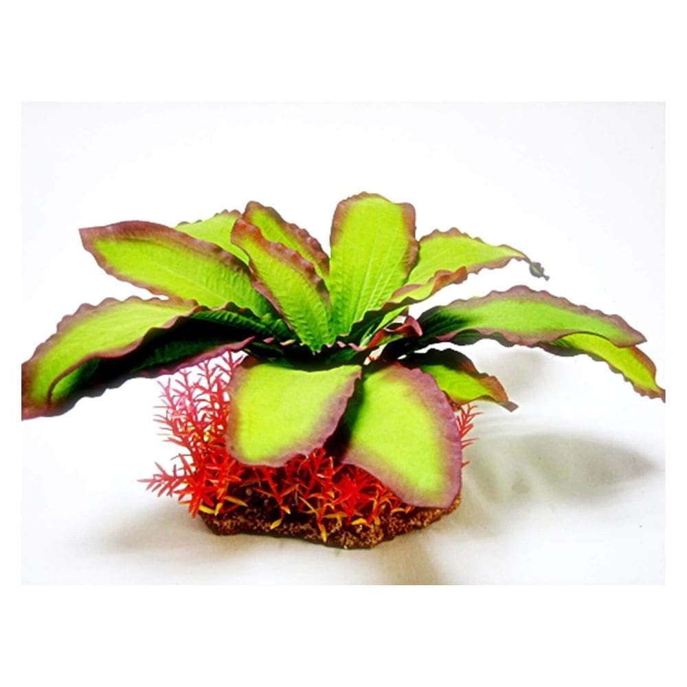 Planta Mix SOMA Paisagem 31