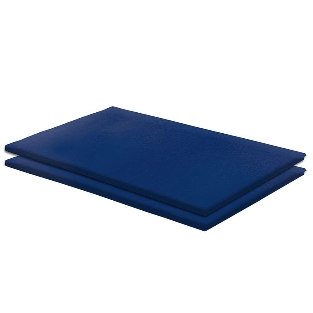 Kit 2 Colchonetes 94x66x3cm Academia e Ginastica D23 em Corvin Azul - BF Colchões