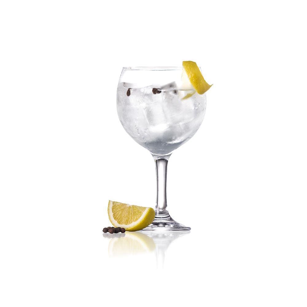 Jogo de Taças para Gin Tônica Nadir Figueiredo 600 ml - 6 peças