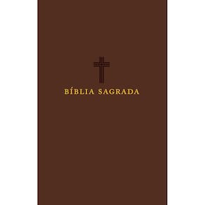 Bíblia Sagrada Acf Letra Grande - Capa Marrom