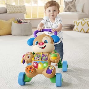 Andador Interativo com Atividades do Cachorrinho - Fisher-Price