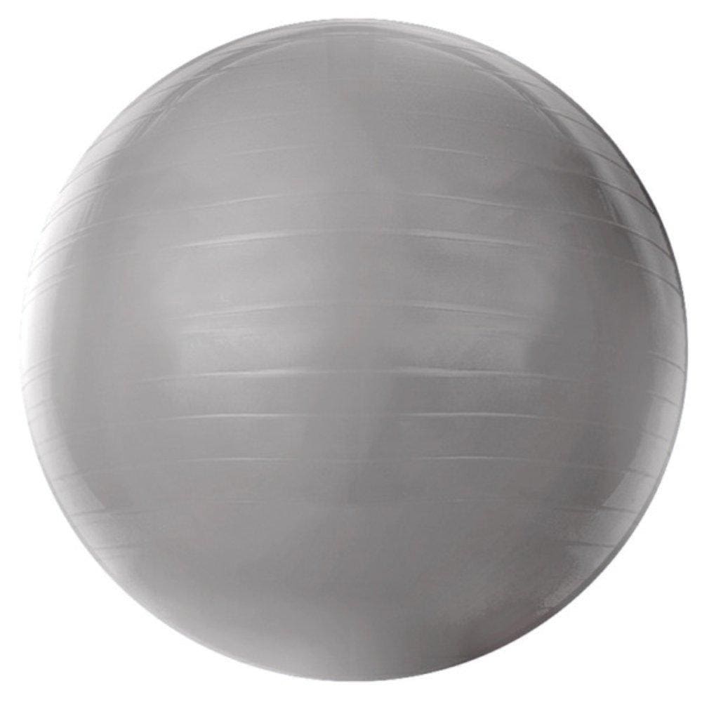 Bola de Ginastica Acte Gym Ball 55cm T9-55