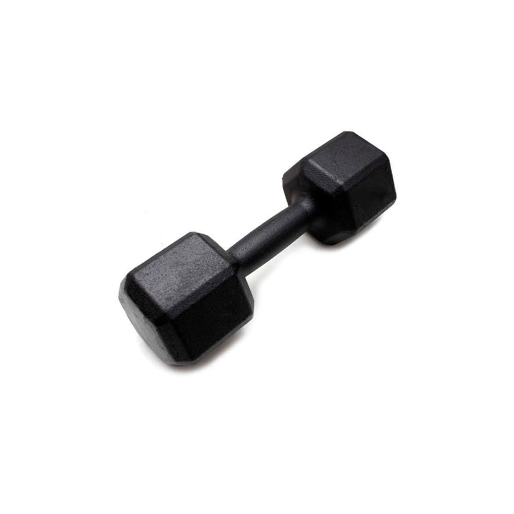 Halter Sextavado Pintado Iniciativa Fitness 10Kg - Unidade