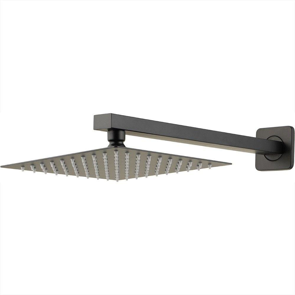 Ducha Chuveiro Inox 20cm Com Braço 40cm Mundaú Pingoo.casa - Preto