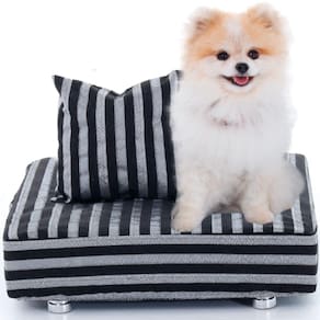 Cama Box Para Cachorro + Travesseiro - Caminha Pet - BF Colchões