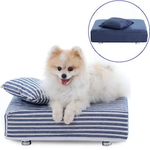 Cama Box Para Cachorro + 2 Travesseiros + 2 Capas - Caminha Pet - BF Colchões