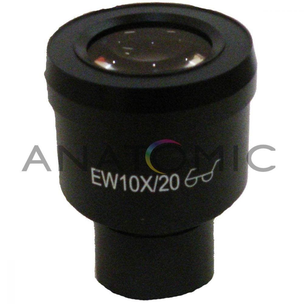 Ocular de 10X 20mm para Biológico Opton