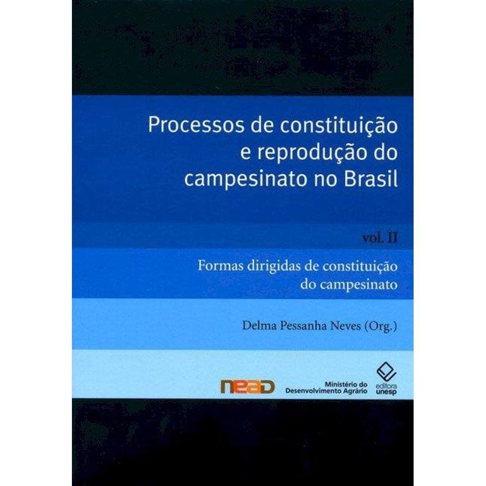 Processos de constituição e reprodução do campesinato no Brasil - Volume 2