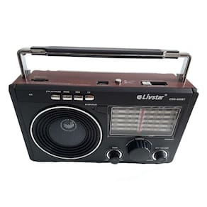 Caixa Som Portátil Retrô Rádio vintage Fm Am Sw1-9 110v 220v