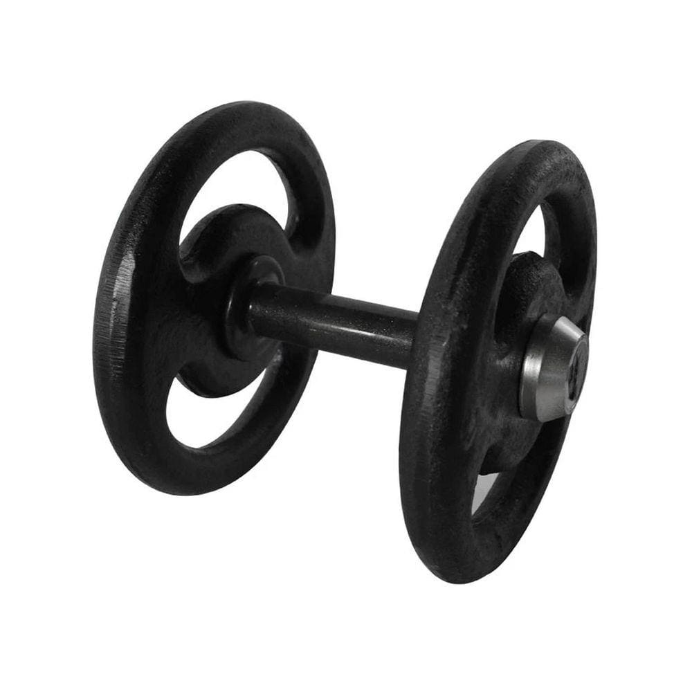 Dumbbell Pintado Pegada Emborrachada Academia Fitness 12kg