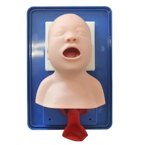 Cabeça De Bebê Intubação Avançado Simulador Médico