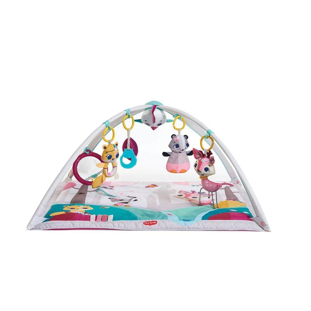 Ginásio Tapete de Atividades Gymini Tiny Princess Tales
