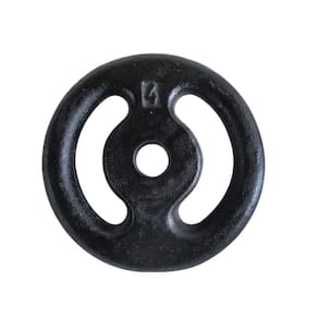 Anilha Ferro Fundido Pintada Fitness Academia 4Kg