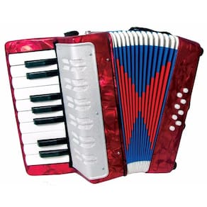 Sanfona acordeon infantil profissional 8 baixos grande