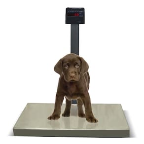 Balança Pet Digital 200kg/50g Pesadora com Bateria Ramuza