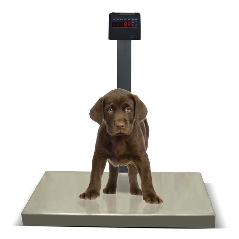 Balança Pet Digital 200kg/50g Pesadora Plataforma 50x80 Sem Bateria Ramuza