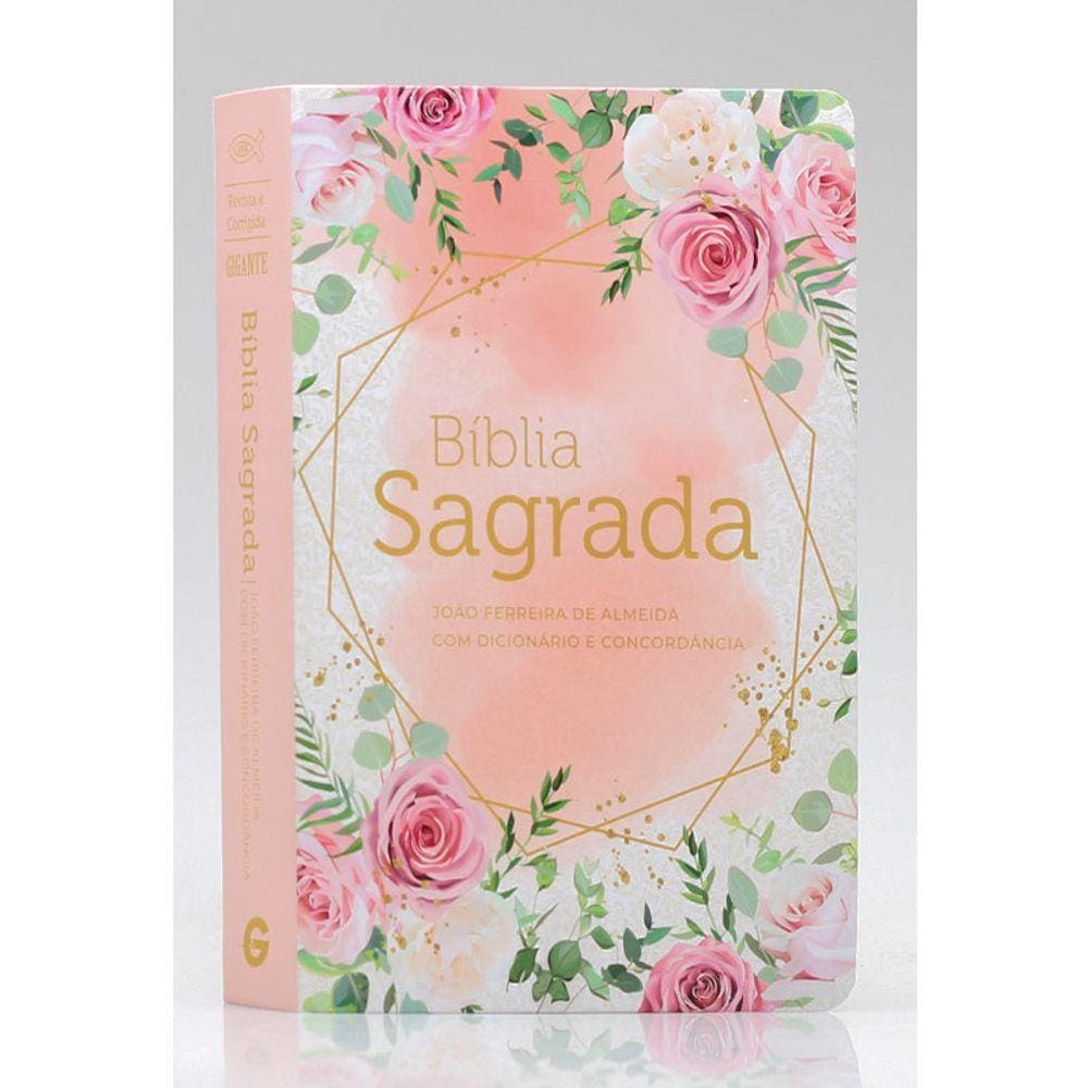 Biblia Com Dicionario E Concordancia Rc Floral