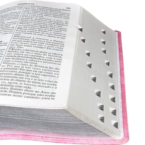 Biblia Letra Gigante  Ra Rosa Claro Sbb