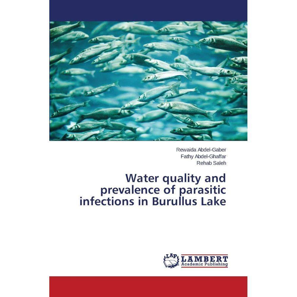 Water quality standards handbook Pontofrio