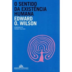 Sentido da Existência Humana, O