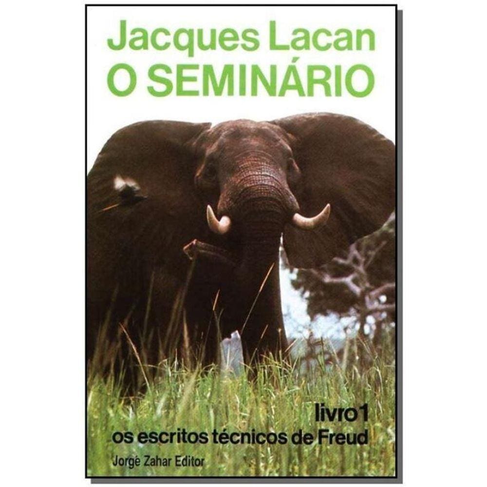 o Seminário, Livro 01 - os Escritos Técnicos de Freud