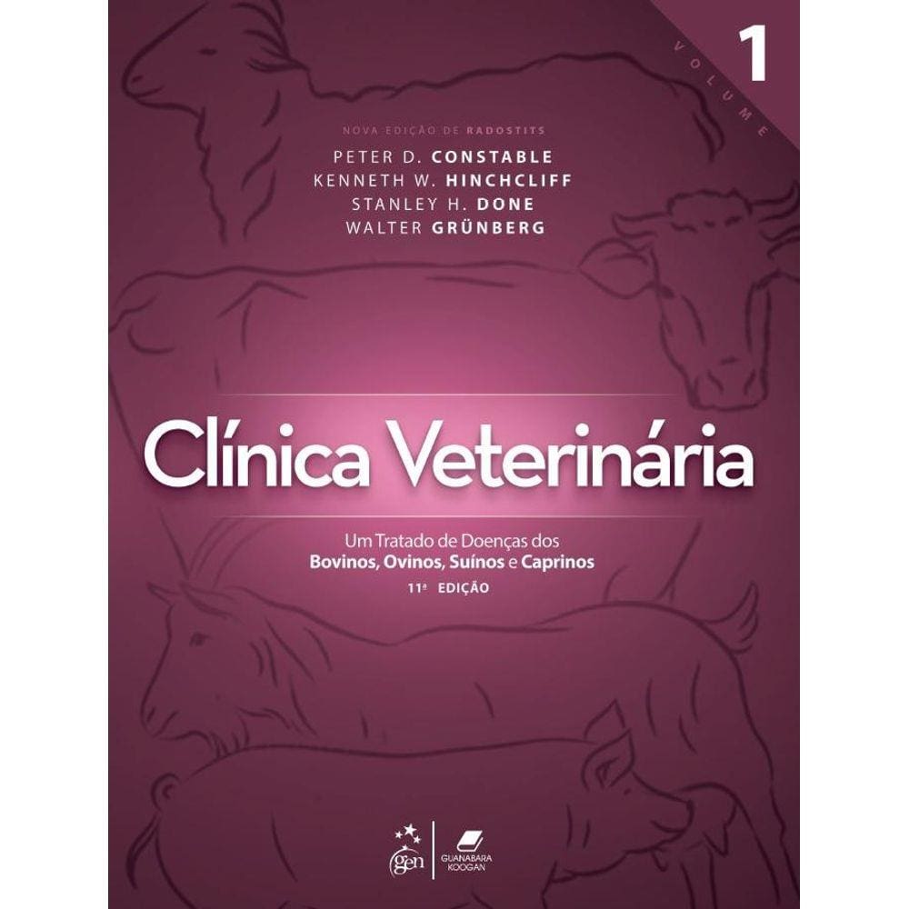 Polly Pocket - Clínica Veterinária