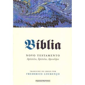 Biblia - Novo Testamento - Vol.02
