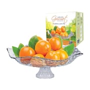 Fruteira e Saladeira Ruvolo de Vidro com Pé Modena