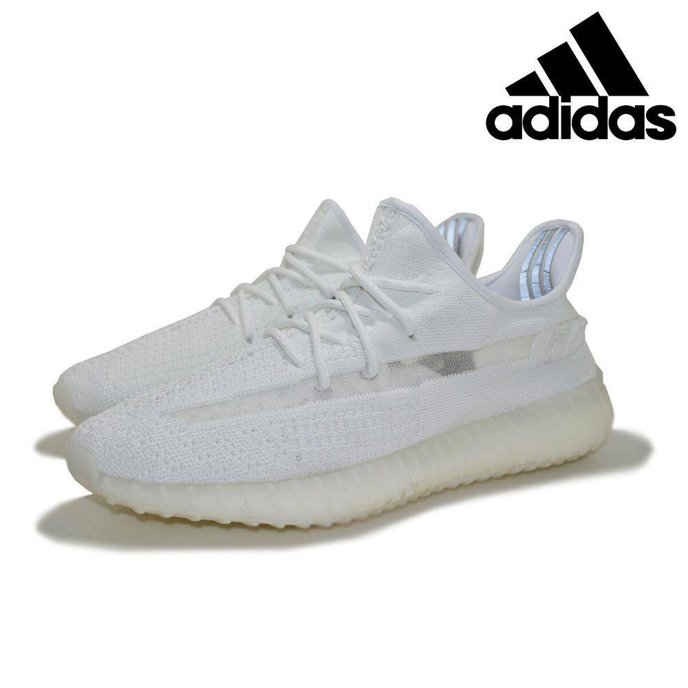 izzy tenis zebra