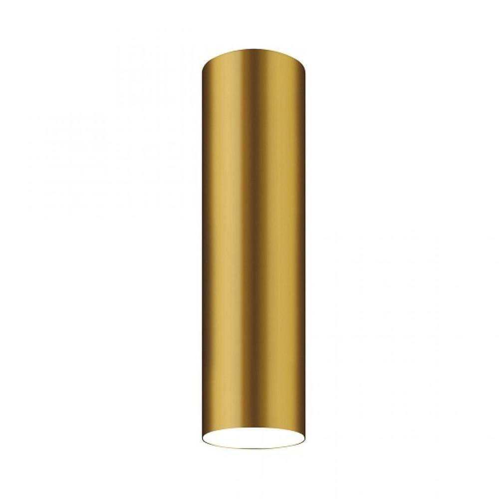 Plafon Viena Tubo 30cm Conti Iluminação Dourado