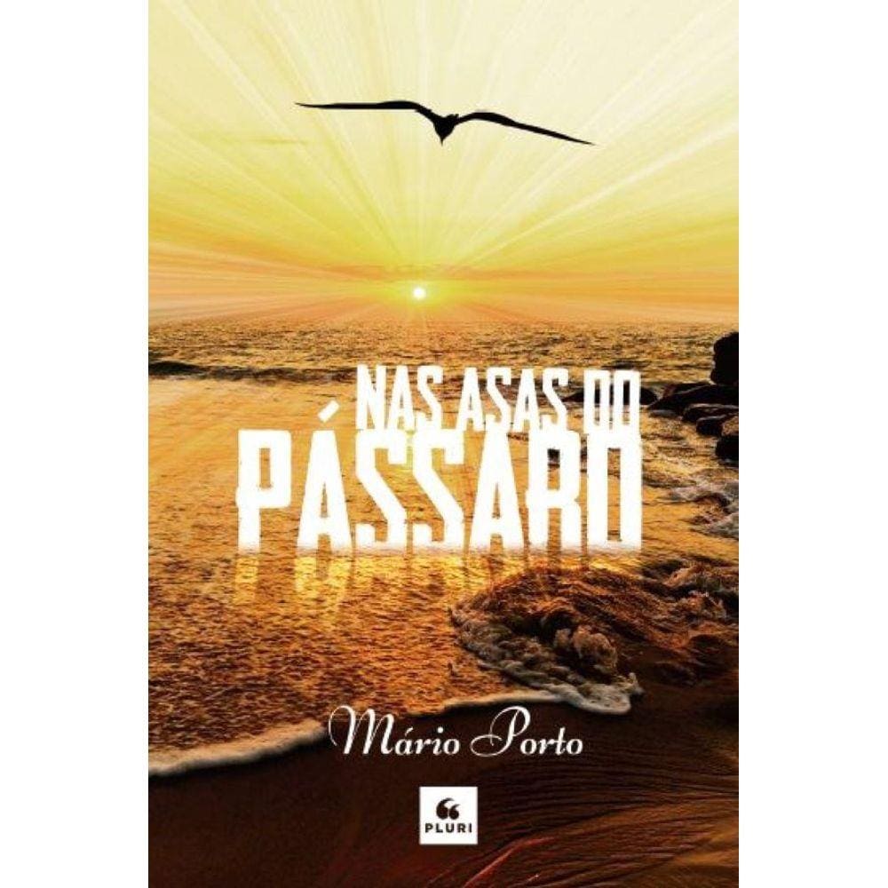 Nas asas do pássaro