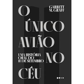 O único avião no céu