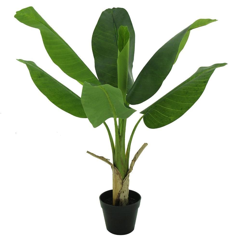 Planta Artificial Pacova