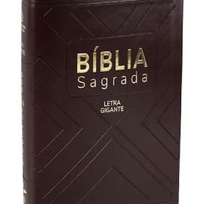 Livro Bíblia Sagrada - Naa - Marrom Com Índice - Média Lgig